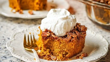 bester-kurbis-dump-kuchen